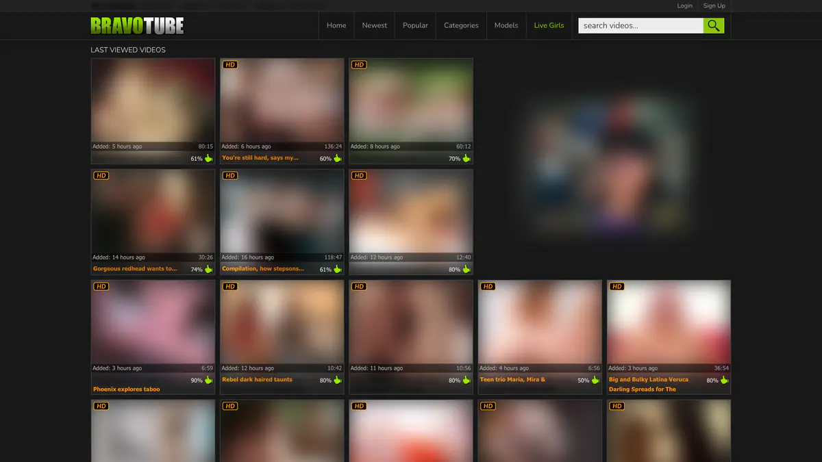 Bravotube Video Downloader browser extension screenshot 2